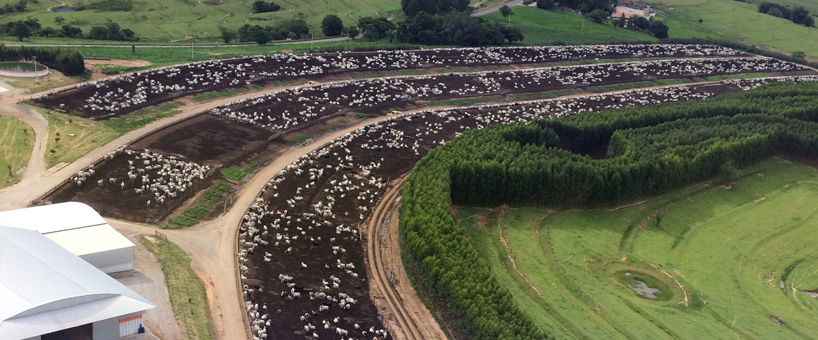 Agricultura do Bergamini